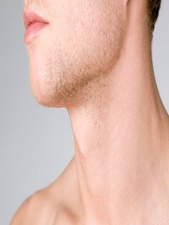 Neck